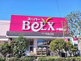 Ｓ・Ｔ・Ｒのその他