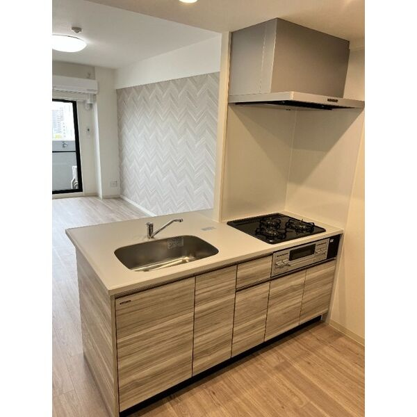 GRAN DUKE栄elimaのキッチン