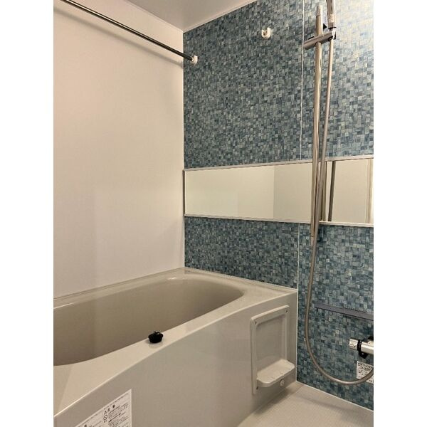 GRAN DUKE栄elimaの浴室