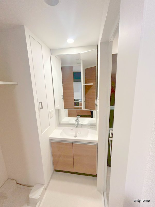 アーバネックス心斎橋　仲介手数料無料の洗面所