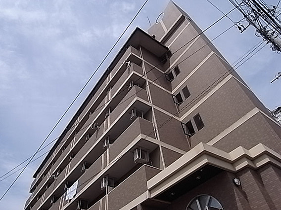 カーサ・ピナール灘