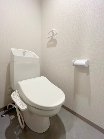 M Terrace北大河のトイレ