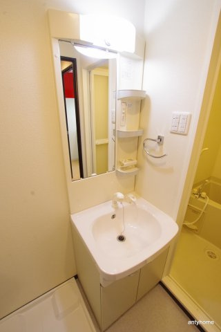 エクセレント上新１7　仲介手数料無料の洗面所