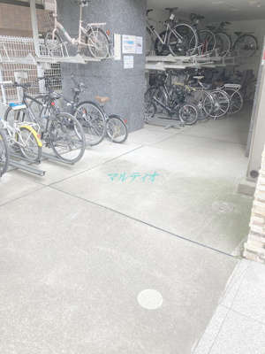  | グレイスフルリッチ