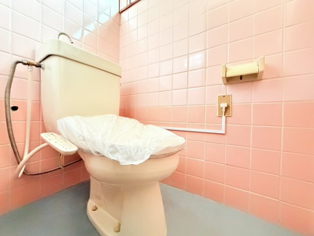 取手市双葉中古物件のトイレ