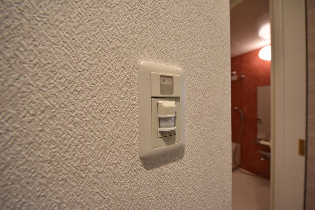 ルクレイタチボリ