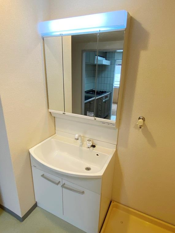 ビッグヴァン横濱山手の洗面所