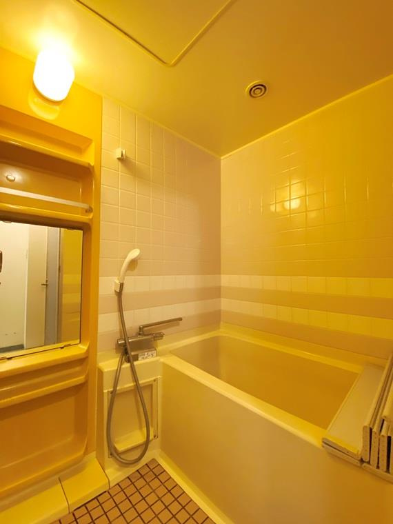 ビッグヴァン横濱山手の浴室