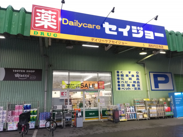 デイリーケアセイジョー浦和円正寺店まで850ｍ