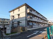 ペルスネージュの画像