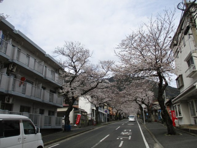 【その他】 | 湯川三丁目2番32号（B-18）