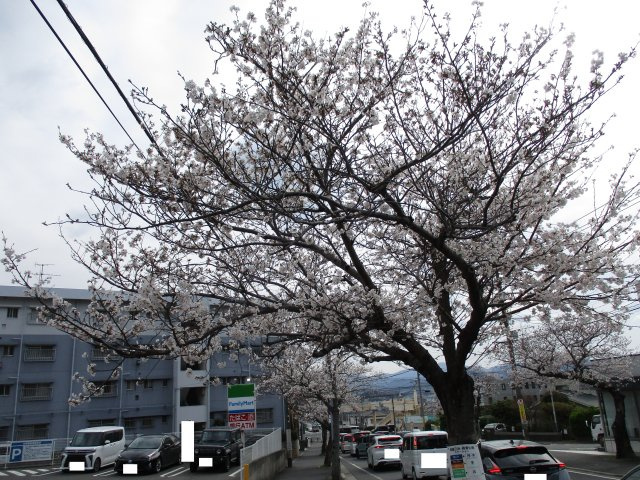 湯川三丁目2番32号（B-18）のその他