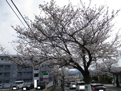 【その他】 | 湯川三丁目2番32号（B-18）