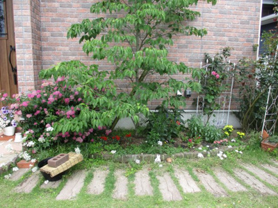 【その他】 | 湯川三丁目2番32号（B-18）