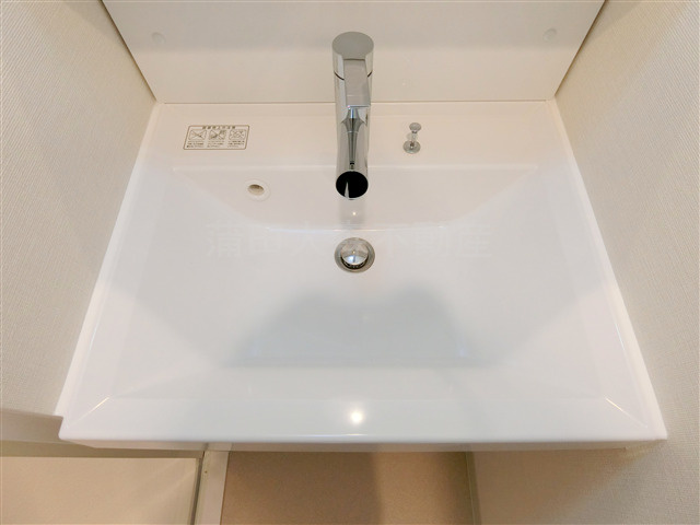 コンフォリア・リヴ西蒲田の洗面所