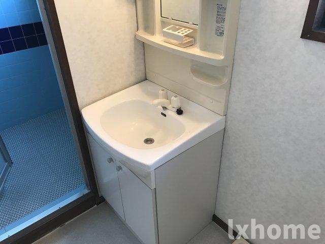 メゾネートの洗面所