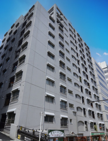 豊栄新都心マンションの外観