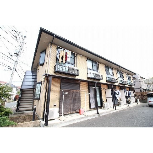 アムール　Ｙ／Ｓ