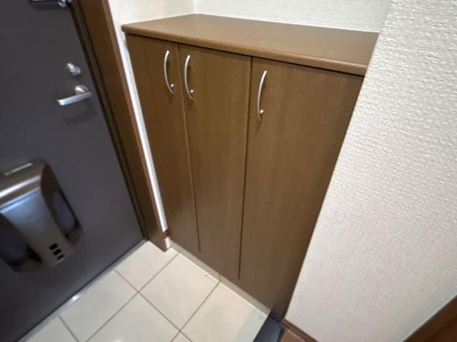 ヴィクトリーステージⅡの収納|下駄箱