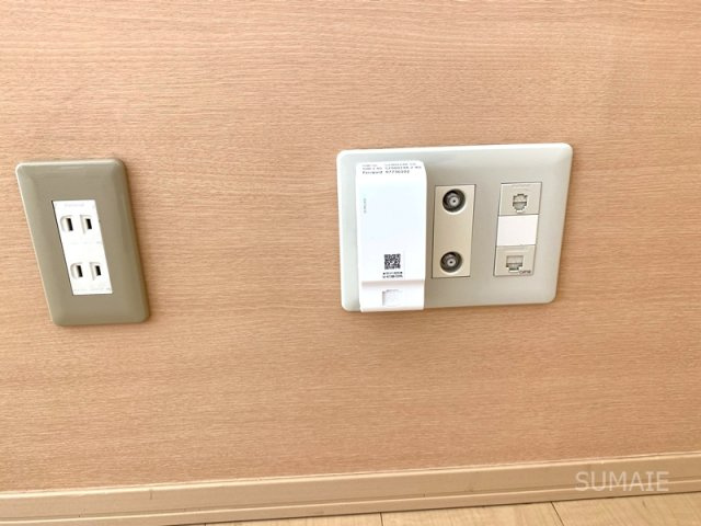 エバーグリーンガーデン　Cの設備|ネット設備☆彡