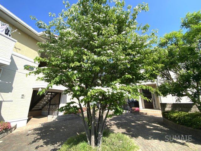 エバーグリーンガーデン　Cのその他共用部分|シンボルツリー☆彡