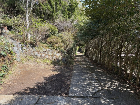 【前面道路含む現地写真】 | 伊東市富戸　戸建