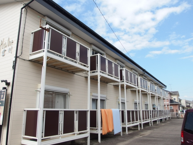 Ｓｕｒｐｌｕｓ　ｏｎｅ　富川
