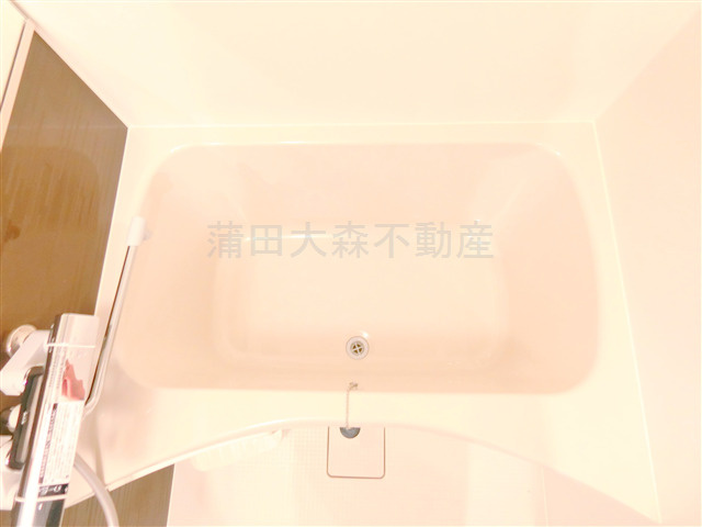 ルネサンスコート蒲田リバーテラスの浴室