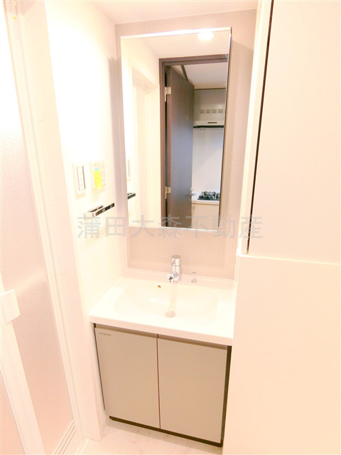 ルネサンスコート蒲田リバーテラスの洗面所|独立洗面台