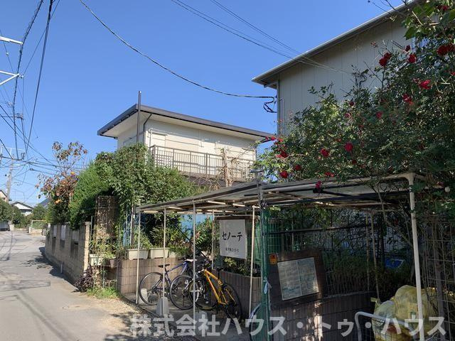 セノーテの外観