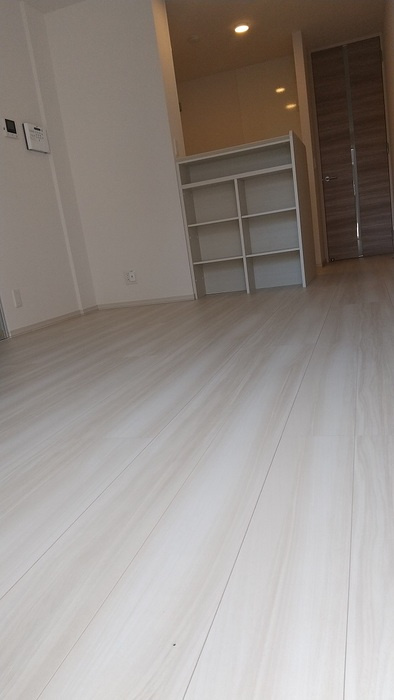 アナシエ小松川の居間・リビング