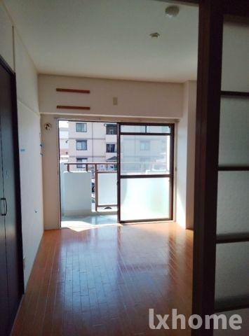 アンセスター91の展望