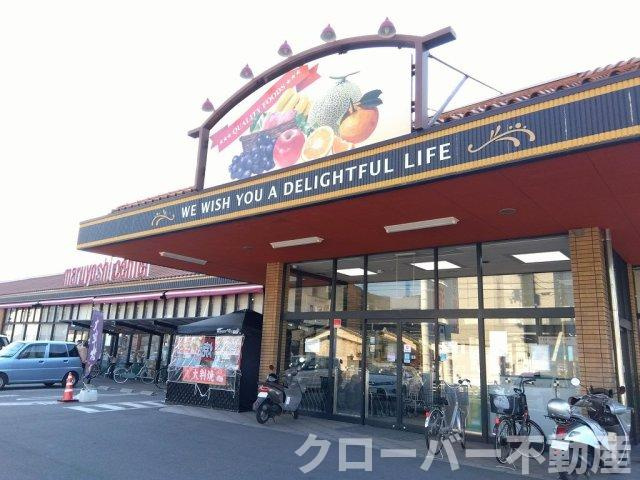 レオパレスクリスマスローズの周辺