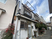 K30342-紫竹の画像