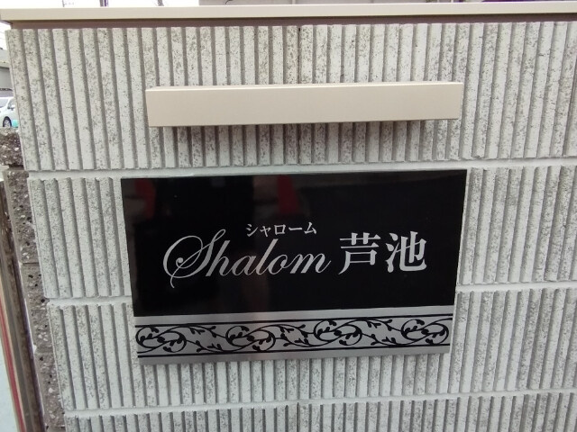 Shalom芦池のその他