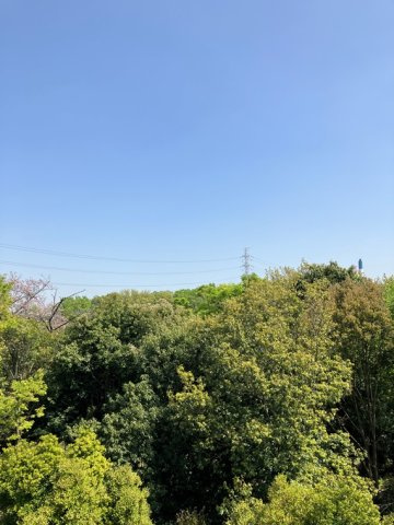 しいの木台ハイツ６号棟の展望