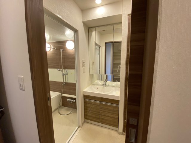 メゾンハギⅤの洗面所