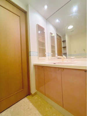 【独立洗面台】 | ヴィザージュ海老名 | 朝の身支度には欠かせない独立洗面化粧台