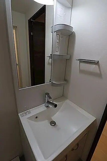 ジェノヴィア浅草Ⅳスカイガーデンの独立洗面台