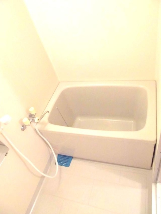シャンティオンの浴室