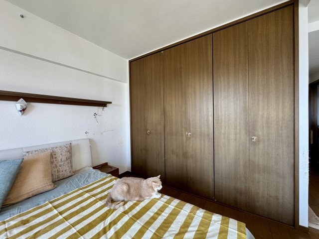 いなんば山ホームズのその他|天井までの大きな収納もあります。荷物は全部しまって空間をゆったり使えます！
