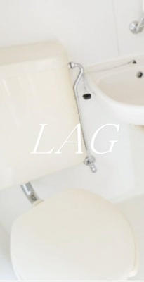 【トイレ】 | チェリーハイツ | トイレです。