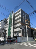 パティーナ菊川の画像
