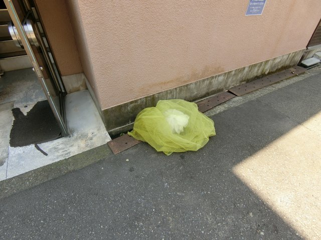 【その他】 | 勝山サンハイツ