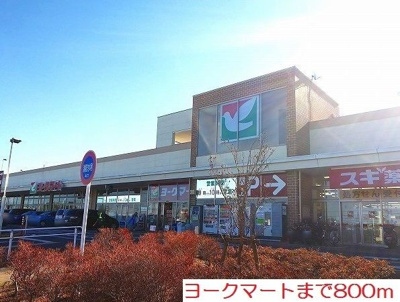 【その他】 | グラシア