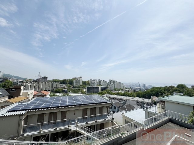 めぞんかもめの展望