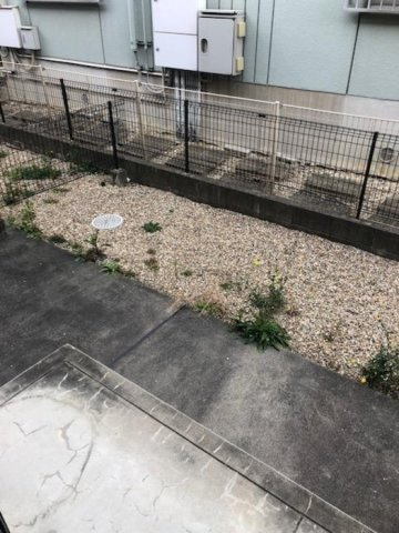 ウィルコート山腰の庭