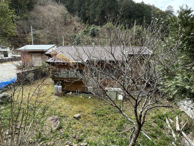 下田市　河内の庭|裏庭