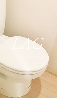 【トイレ】 | ビバリーホームズ氷川台 | トイレです。