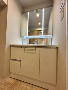 【独立洗面台】ロイヤルシャトー南仙台 